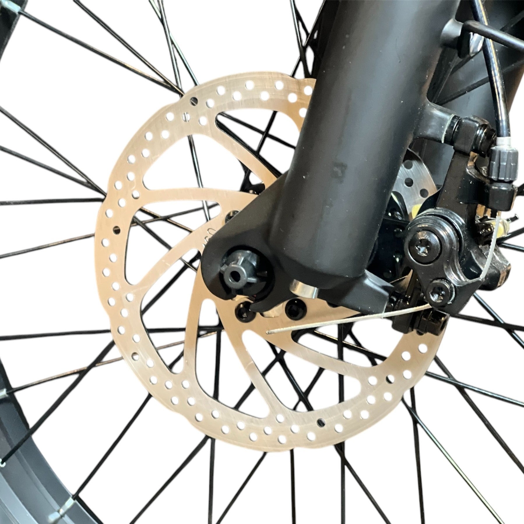 S7 - TOMS street | トーマス・ストリート公式