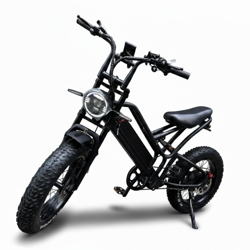 New Monster［EBIKE］ | トーマス・ストリート公式